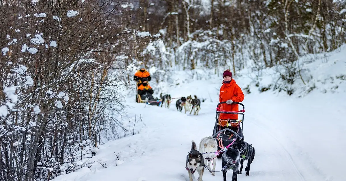 A dog sled in deep snow in the Tamok valley on a husky dog sledding day trip from Tromsø