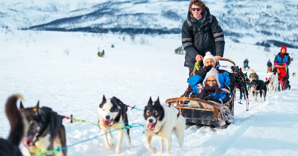 A musher driving guests in a husky sled near Tromsø on a guided husky dog sledding ride