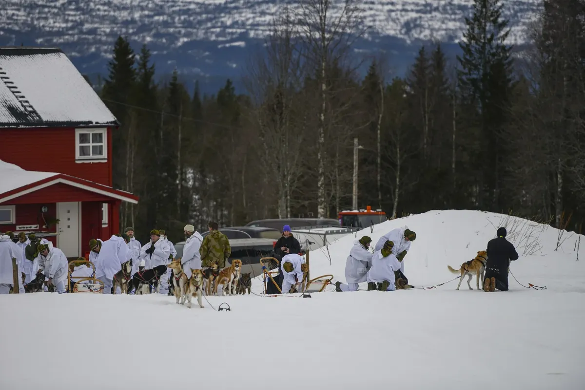 Visitors arriving at a husky kennel in inland Troms, the setting of private husky dog sledding from Tromsø