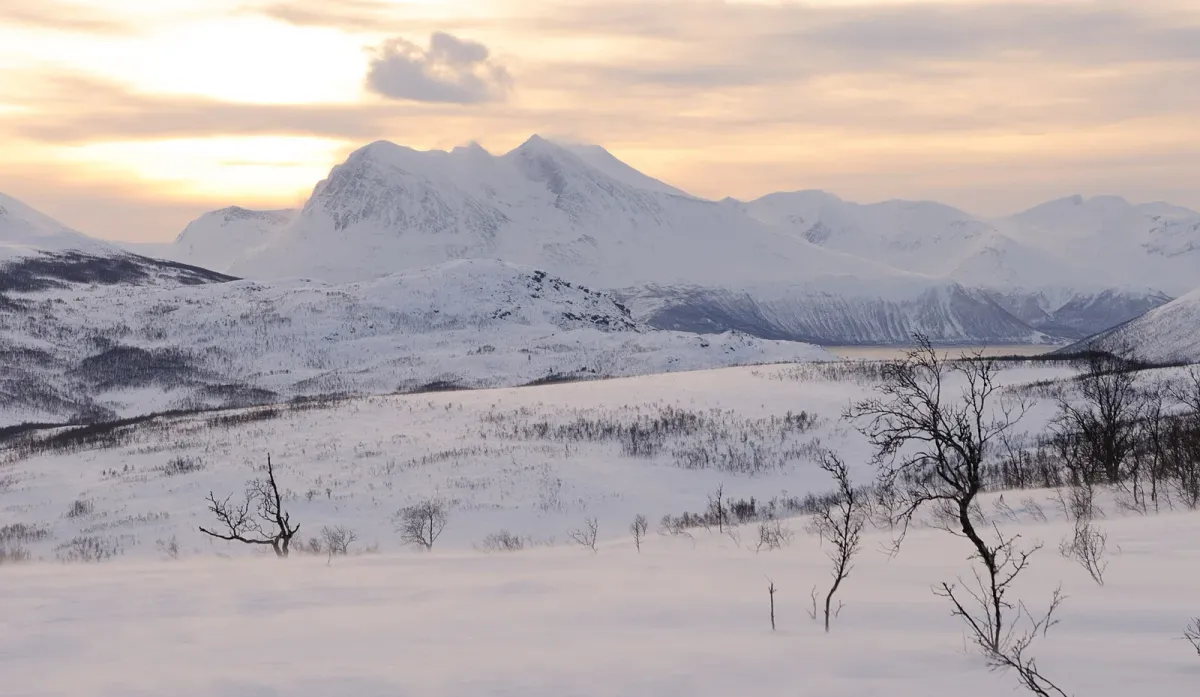 Snowy mountains on Kvaløya south of Tromsø, the landscape around guided husky dog sledding from Tromsø